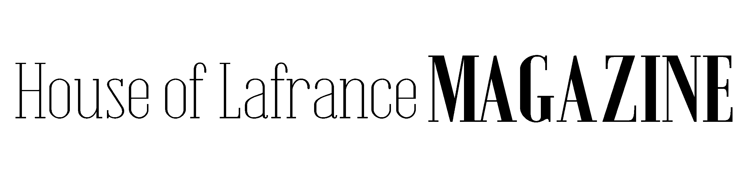 HOLMAG INC