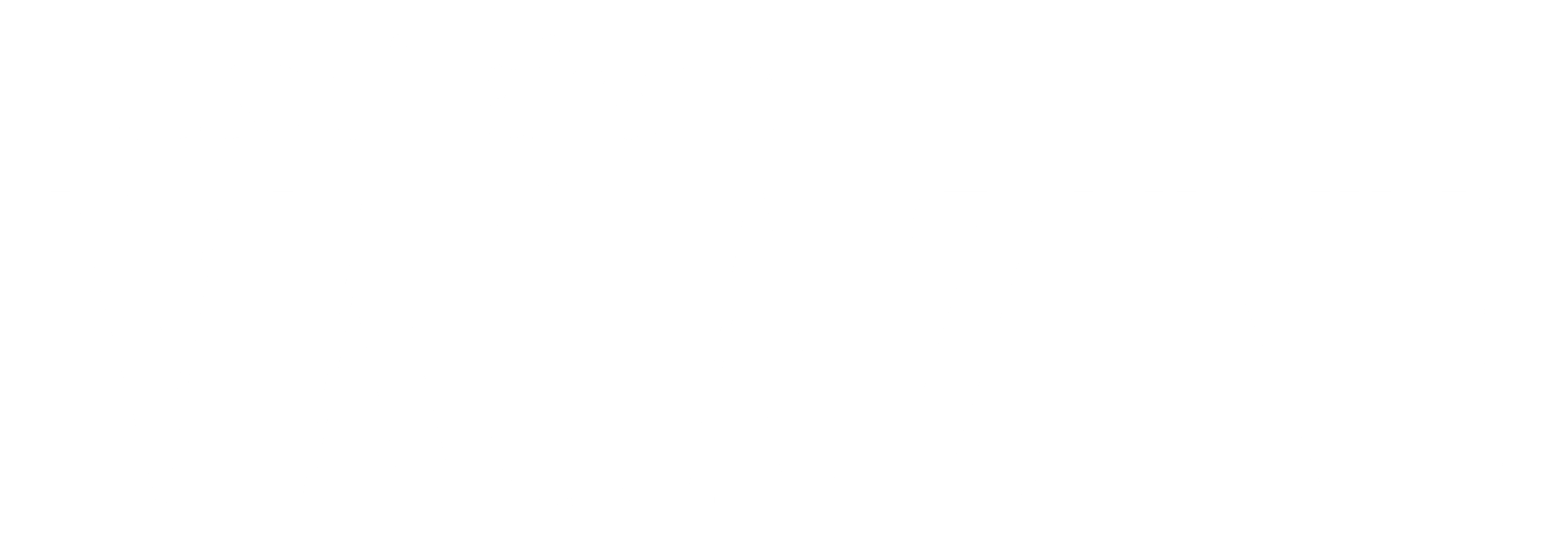 HOLMAG INC