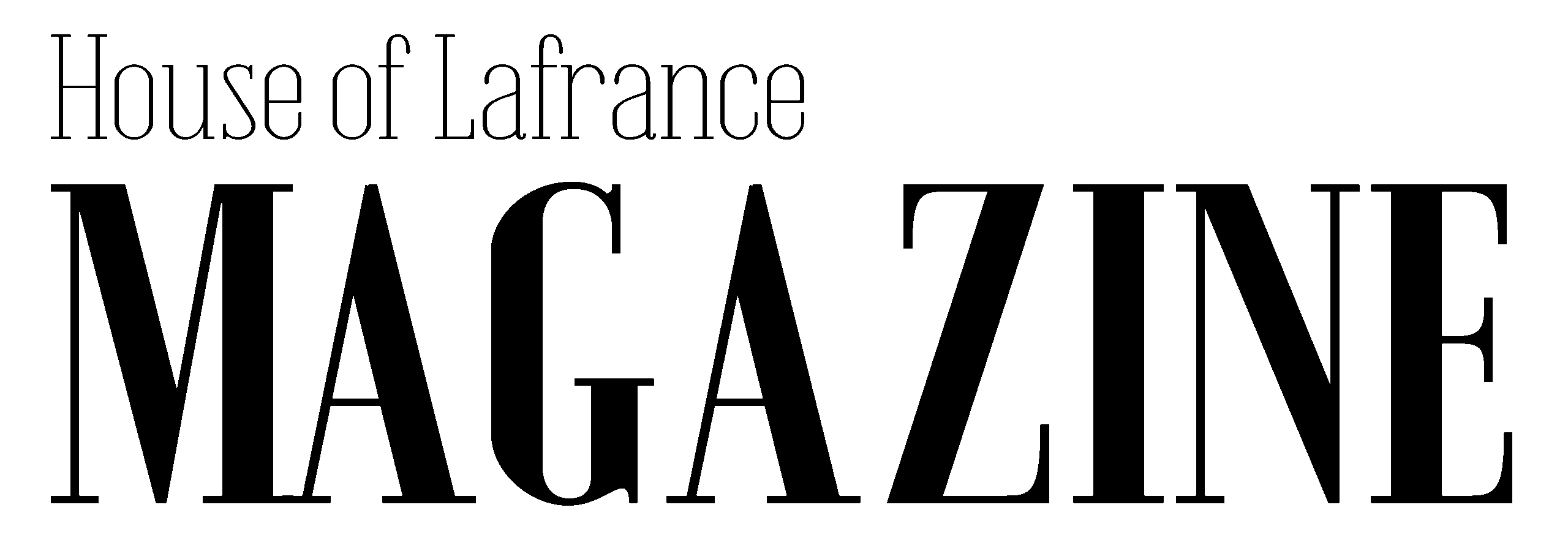 HOLMAG INC